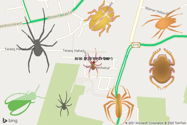 ריסוס לדירה בבית חרות