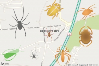 שירות ריסוס בבית חנן - ריסוס לדירה בבית חנן
