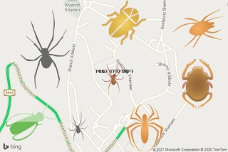 שירות ריסוס בשמיר - ריסוס לדירה בשמיר