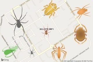 שירות ריסוס בנוב - ריסוס לדירה בנוב