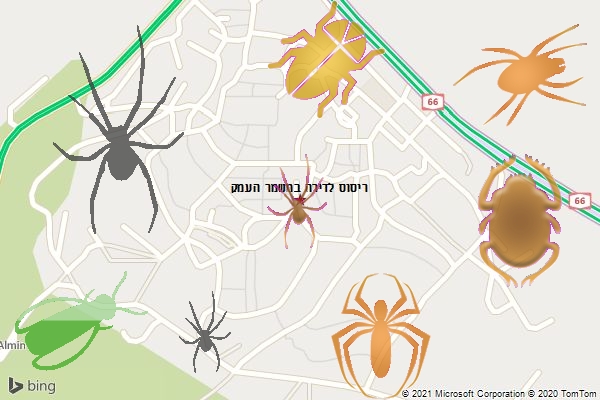 ריסוס לדירה במשמר העמק