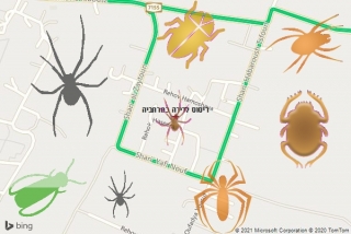שירות ריסוס במרחביה - ריסוס לדירה במרחביה