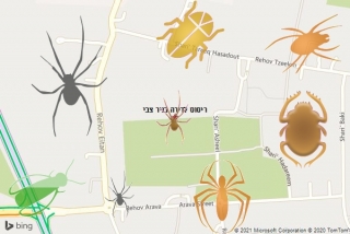 שירות ריסוס בניר צבי - ריסוס לדירה בניר צבי