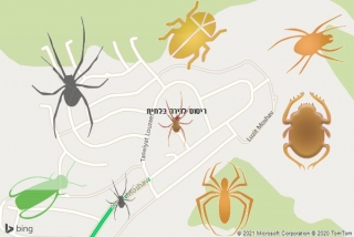 שירות ריסוס בלוזית - ריסוס לדירה בלוזית