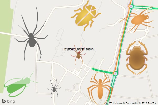 ריסוס לדירה באפיקים