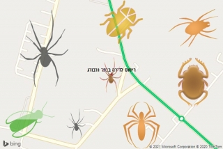 שירות ריסוס בכפר ורבורג - ריסוס לדירה בכפר ורבורג