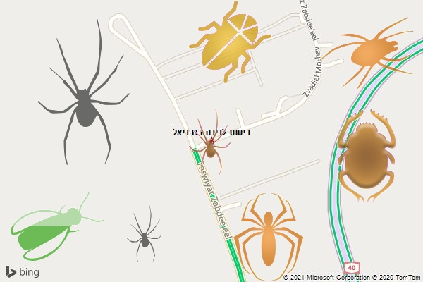 ריסוס לדירה בזבדיאל