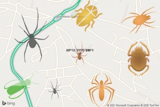 שירות ריסוס בריינה - ריסוס לדירה בריינה