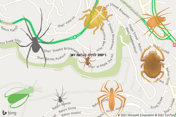 ריסוס לדירה בגבעת זאב