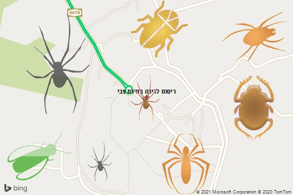 ריסוס לדירה בטירת צבי