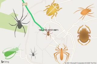 שירות ריסוס בטירת צבי - ריסוס לדירה בטירת צבי