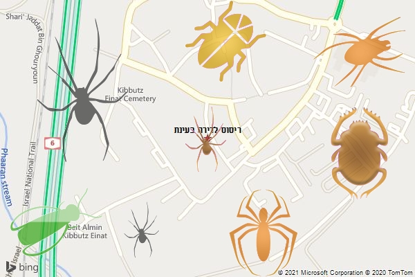 ריסוס לדירה בעינת
