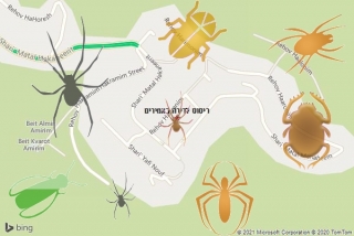  באמירים - ריסוס לדירה באמירים