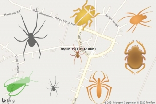 שירות ריסוס בכפר יחזקאל - ריסוס לדירה בכפר יחזקאל