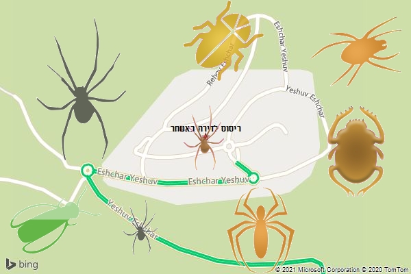 ריסוס לדירה באשחר