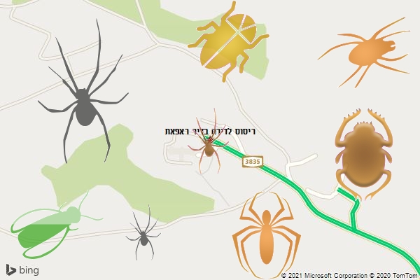 ריסוס לדירה בדיר ראפאת