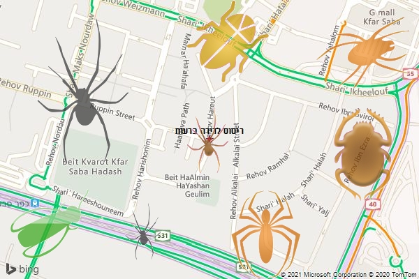 ריסוס לדירה ברעות