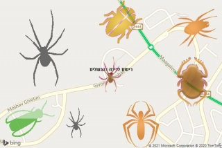 שירות ריסוס בגבעולים - ריסוס לדירה בגבעולים