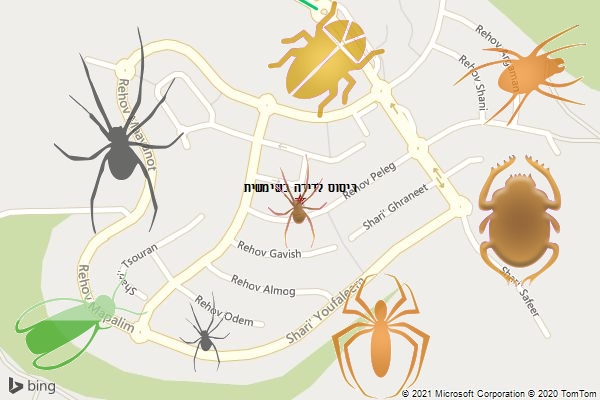 ריסוס לדירה בשימשית
