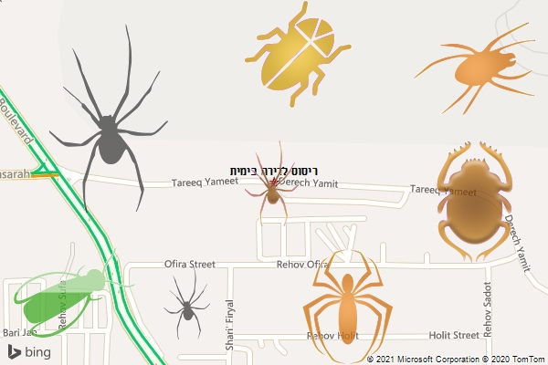 ריסוס לדירה בימית