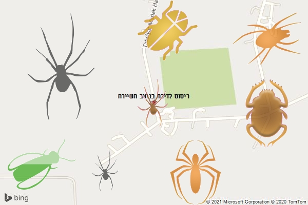 ריסוס לדירה בנתיב השיירה