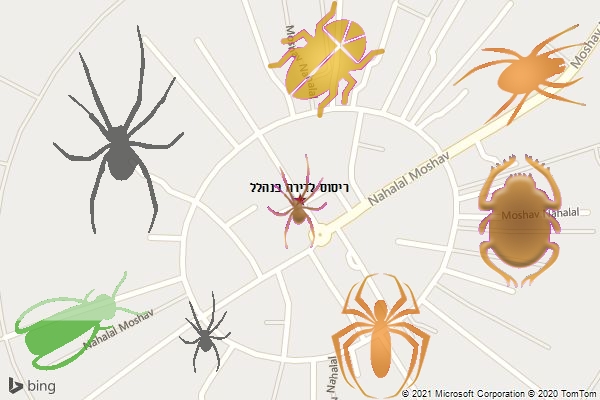 ריסוס לדירה בנהלל