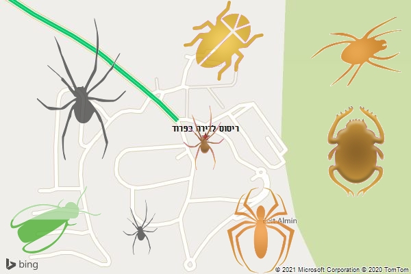 ריסוס לדירה בפרוד