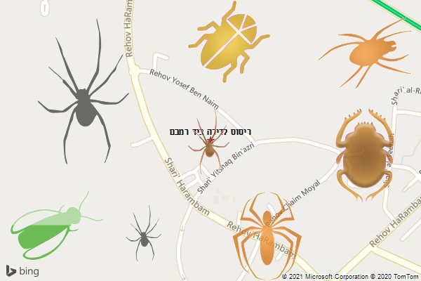 ריסוס לדירה ביד רמבם
