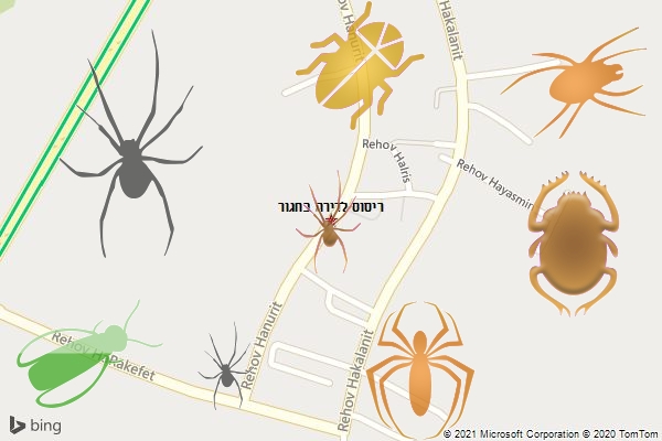 ריסוס לדירה בחגור