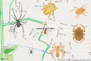 שירות ריסוס בג׳לג׳וליה - ריסוס לדירה בג׳לג׳וליה