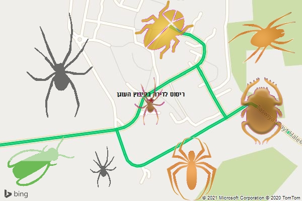 ריסוס לדירה בקיבוץ העוגן