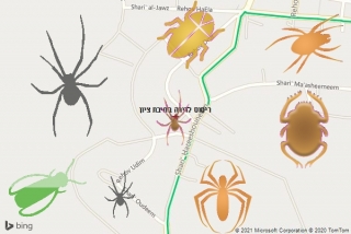 שירות ריסוס בחיבת ציון - ריסוס לדירה בחיבת ציון