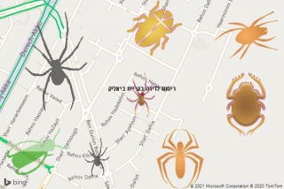  בקריית ביאליק - ריסוס לדירה בקריית ביאליק