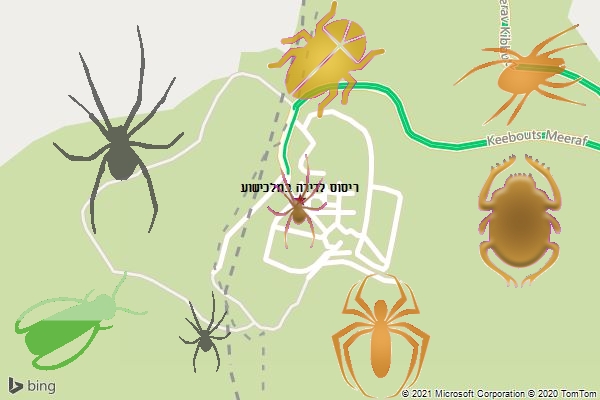 ריסוס לדירה במלכישוע