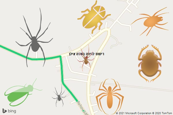 ריסוס לדירה בשדה אילן