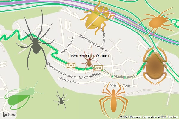 ריסוס לדירה במוצא עילית