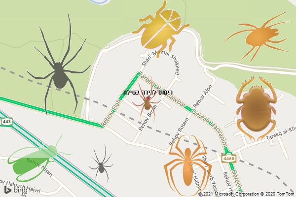 ריסוס לדירה בשילת