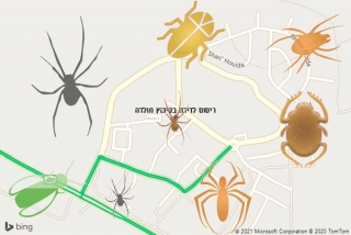 שירות ריסוס בקיבוץ חולדה - ריסוס לדירה בקיבוץ חולדה