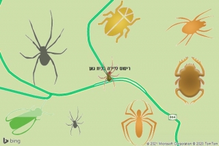שירות ריסוס בבית גאן - ריסוס לדירה בבית גאן