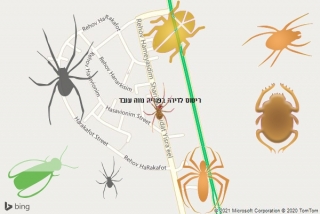 שירות ריסוס בפוריה נווה עובד - ריסוס לדירה בפוריה נווה עובד