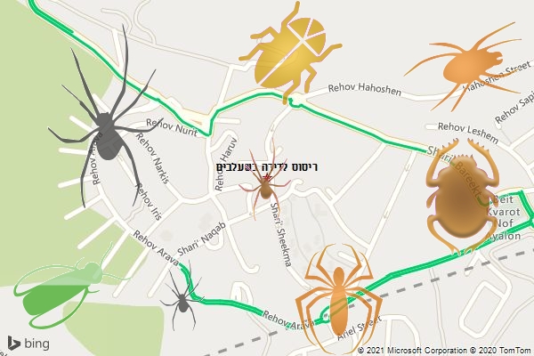 ריסוס לדירה בשעלבים