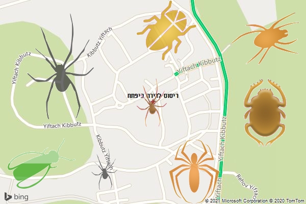 ריסוס לדירה ביפתח