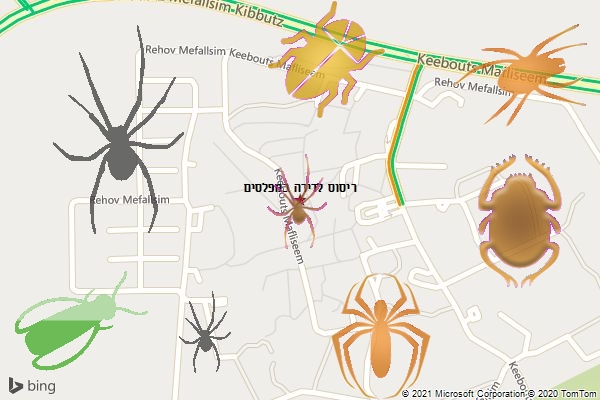 ריסוס לדירה במפלסים