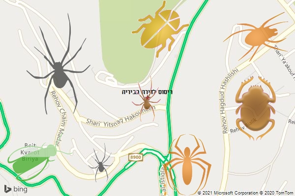 ריסוס לדירה בביריה
