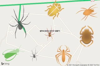 שירות ריסוס בנווה איתן - ריסוס לדירה בנווה איתן