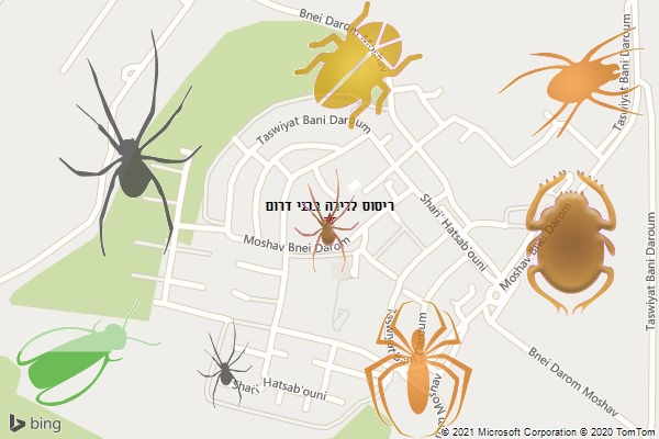ריסוס לדירה בבני דרום