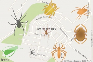 שירות ריסוס בבני דרום - ריסוס לדירה בבני דרום