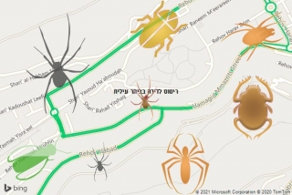 שירות ריסוס בביתר עילית - ריסוס לדירה בביתר עילית