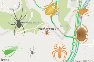 שירות ריסוס בבית זיד - ריסוס לדירה בבית זיד