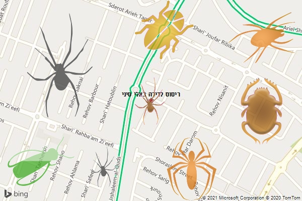 ריסוס לדירה באלי סיני